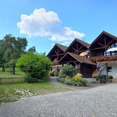 Ferienwohnungen Gabi Hermann Bodman-Ludwigshafen Dış mekan fotoğraf